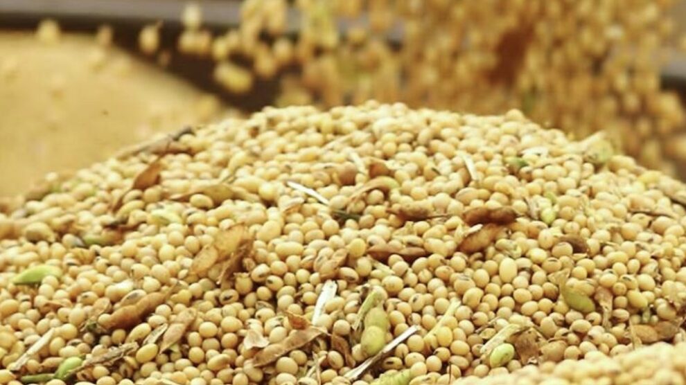 soja-em-graos-junho-2023-ass-990x556-2