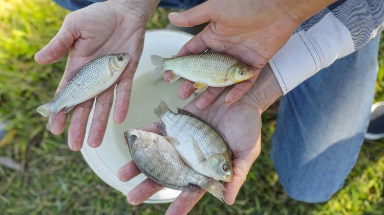 whatsapp-image-2023-07-27-at-17-26-29