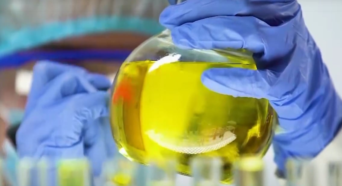 biocombustivel biocombustível - biocombustíveis