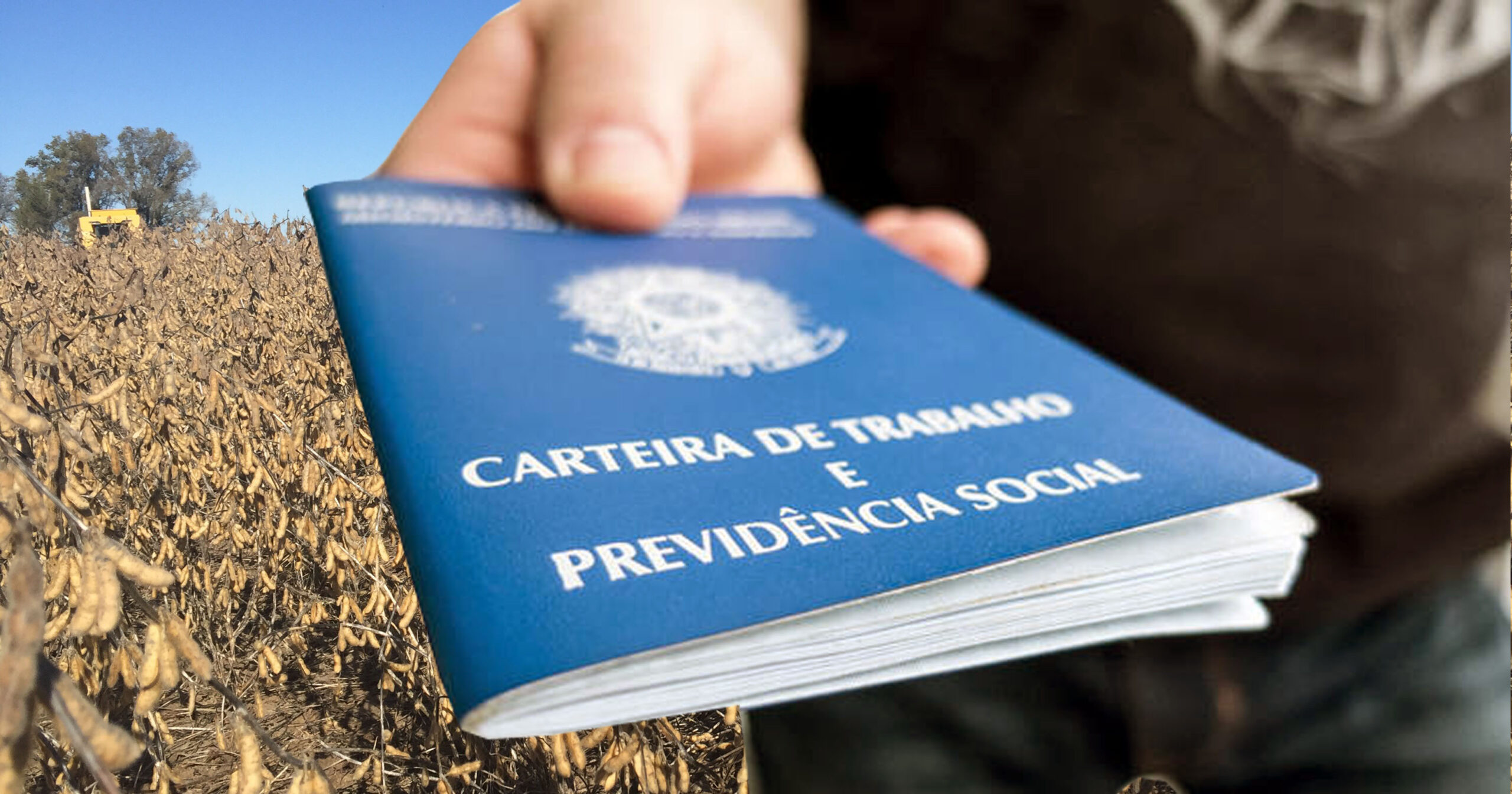 carteira-trabalho trabalho, agronegócio, brasil, pesquisa, cepea, CNA