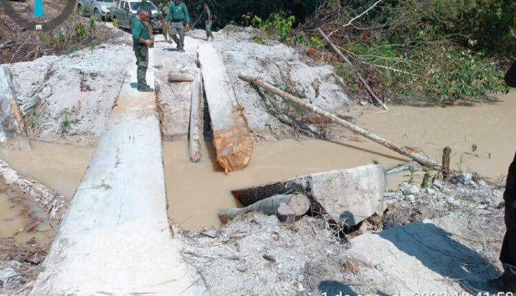 garimpo bandeirantes