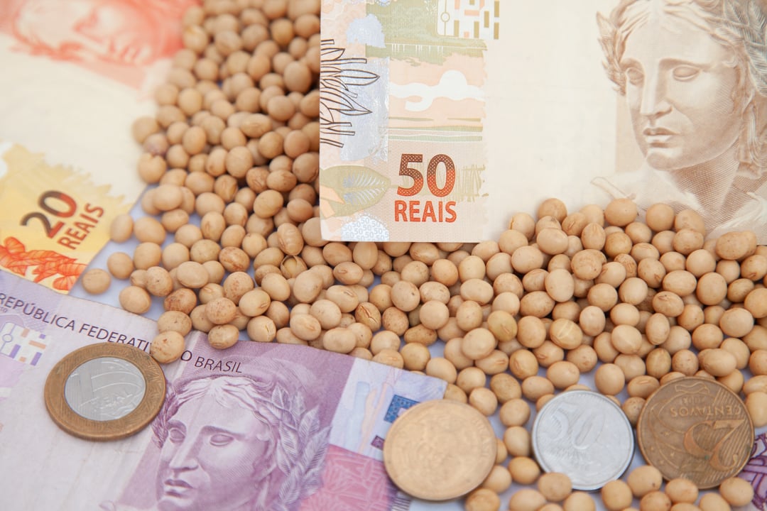 mg_2526 preço soja cotação saca