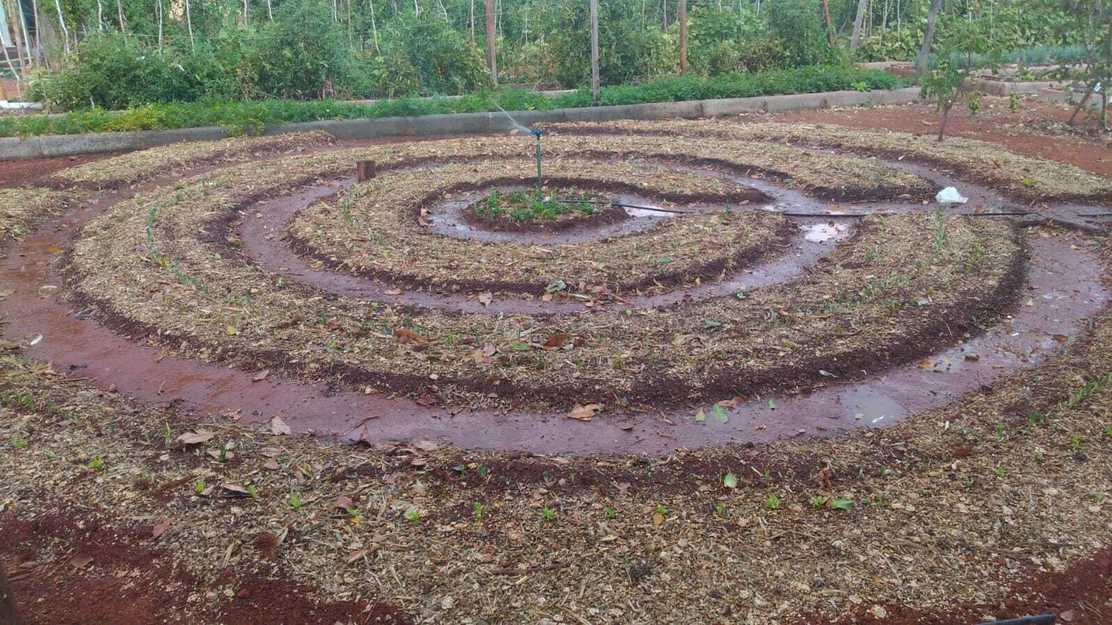 olericultura-organica Produtores aprendem mandala