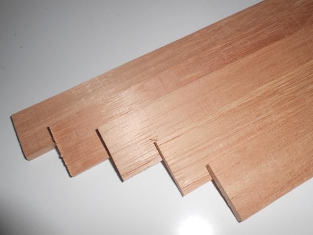 whatsapp-image-2023-08-16-at-10-17-04 Cedro Rosa Fórum Nacional das Atividades de Base Florestal