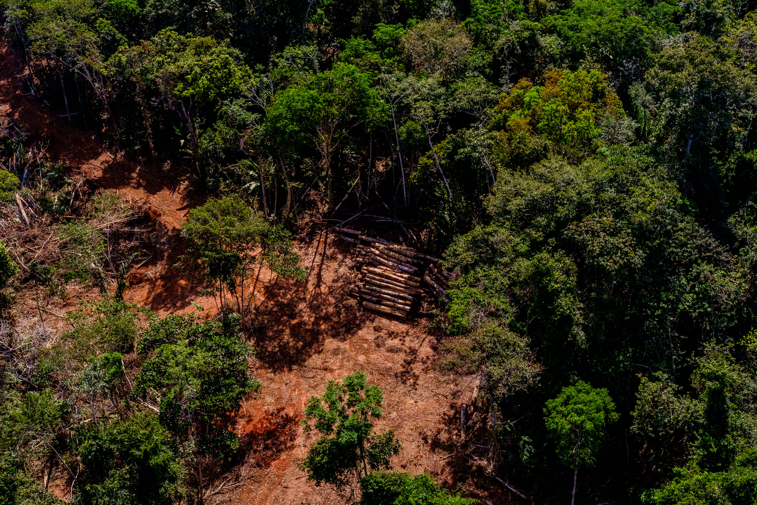 813020ad-e48e-6d24-2134-79d5c9a3f0a0-1