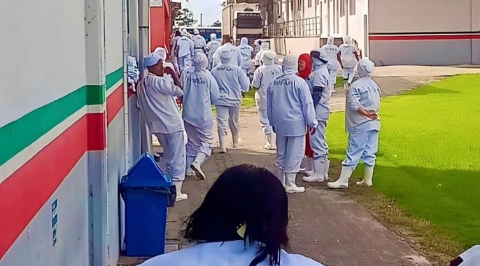 FRIGORÍFICO FUNCIONÁRIOS