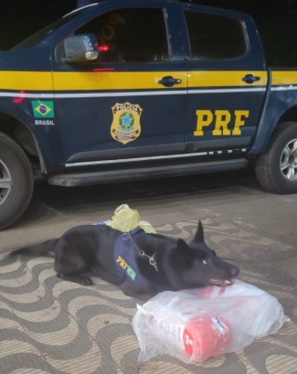 droga em cesta básica