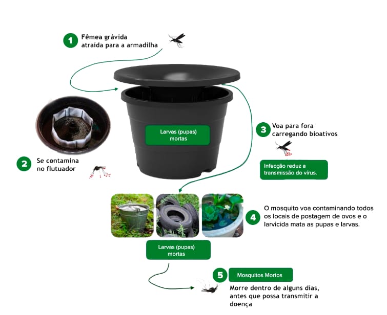 armadilha-da-dengue-como-funciona