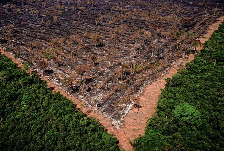 whatsapp20image202023-09-2620at2009_03_16-1