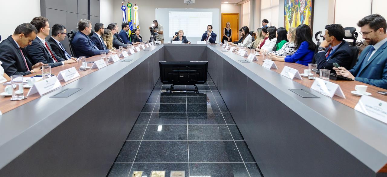 JUIZES SUBSTITUTOS (Copy)