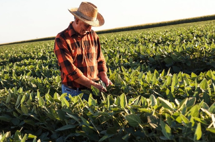 agricultura traindts