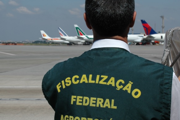 FISCALIZAÇÃO FEDERAL