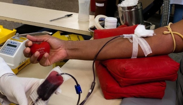 doação sangue processados