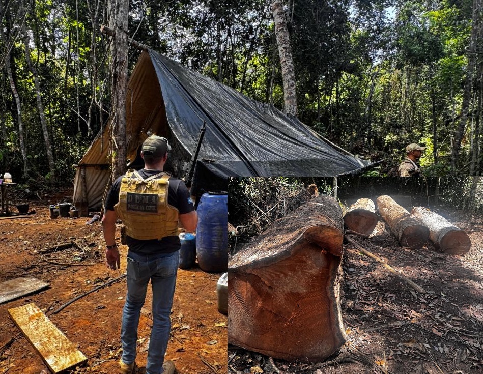 ACAMPAMENTO MADEIRA ESSA