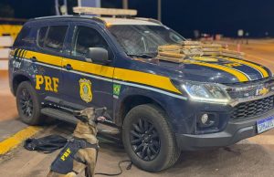 PRF apreende 15 kg de maconha sendo transportada em ônibus interestadual durante fiscalização em rodovia de MT