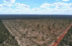 TAC RESTABELECE MEDIDAS RIGOROSAS: Produtor rural em MT deve pagar R$ 308 mil e recuperar área degradada