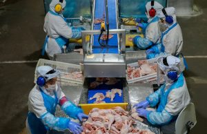 Seis países deixam de comprar frango e derivados do Brasil