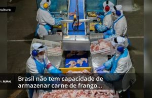 GRIPE AVIÁRIA: sem exportação Brasil não tem capacidade de armazenar carne de frango excedente