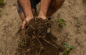 Brasil sediará pela primeira vez fora da Europa, um laboratório agrícola de saúde de solo