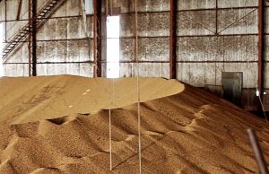 Duas mortes em dois dias em silos de grãos acendem o alerta sobre a segurança no campo; uma delas foi em Nova Canaã do Norte MT