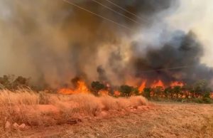 AGRAVAMENTO DA PENA: aprovada pela Câmara Federal o aumento de punição a quem provocar incêndios florestais