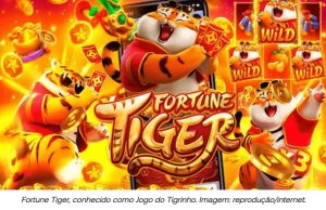 TIGER HUNT: na mira da PC organização criminosa envolvida em esquema de fraudes em jogos online de azar