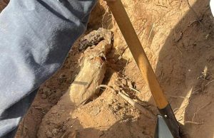 Membros de facção criminosa envolvidos em morte de jovem é alvo de Operação nesta quarta(18)