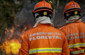 Corpo de Bombeiros de MT abre seleção para brigadistas