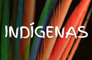 Mortes de indígenas por falta de medicamentos e transportes leva a abertura de inquérito pelo Ministério Público Federal