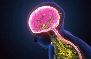 Entenda como um AVC pode levar alguém à morte