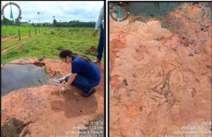 NORTÃO MT: gravuras misteriosas são encontradas em sítio arqueológico