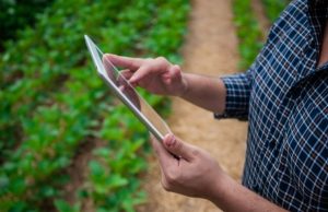 Nova lei busca fortalecer a permanência dos jovens no campo