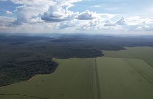 DIA NACIONAL DE PROTEÇÃO ÀS FLORESTAS: produtores como aliados durante a estiagem no combate aos incêndios e na preservação do verde