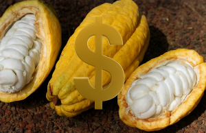 Tarifas de 50% sobre produtos brasileiros anunciada pelo governo dos Estados Unidos causa grande impacto