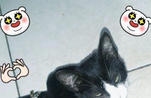 Como espantar a tristeza; 10 passos simples para melhorar a saúde mental