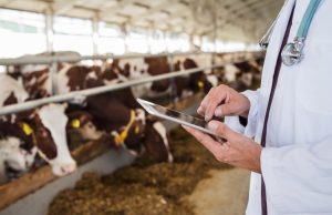 Programa REM MT e SEDEC/MT promovem curso gratuito de formação para técnicos em cidades do Nortão