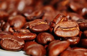 Portos travam exportação de café e causam perdas bilionárias