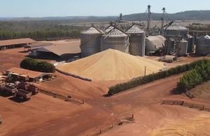 FALTA ARMAZEM: MT produz mais grãos do que consegue estocar