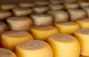 Mato Grosso ganha 50 medalhas no Prêmio Queijo Brasil