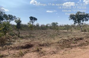 PM prende cinco pessoas por desmatamento ilegal em área de reserva ambiental em MT