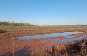 USINA COLÍDER: Ministério Público MT pede relatórios sobre segurança e meio ambiente