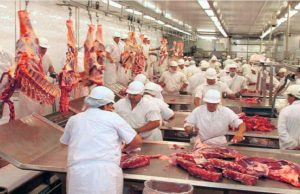 FRIGORÍFICOS DE MT: medida que entra em vigor no dia 6 de agosto, pode levar o setor a adotar férias coletivas