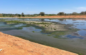 NORTÃO MT: Sema e Ministério Público notificam frigorífico a promover adequações para evitar propagação de odor