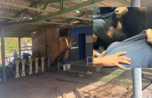 Preso estuprador que matou mulher dentro do campus da UFMT; ele foi identificado como autor de outros três crimes de estupro