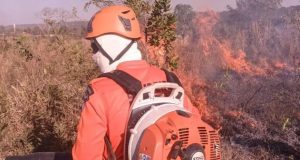 FIM DE SEMANA DE COMBATE: Corpo de Bombeiros extingue e combate vários incêndios florestais neste fim de semana em MT
