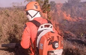 Trabalhador morre ao tentar conter incêndio em lavoura em município de MT