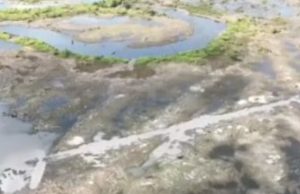 Peixes mortos e barcos encalhados: rio seca após usina hidrelétrica reduzir nível de reservatório por alerta de segurança em MT