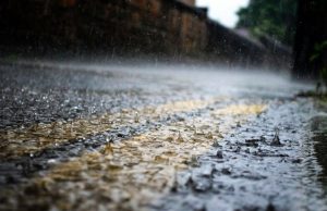 Falta de chuva pode atrasar plantio de soja no MT