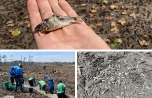 ALERTA! Relatório técnico aponta risco estrutural e ambiental na Usina Colíder