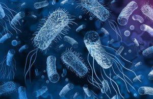 Infecções por “bactérias do pesadelo” nos EUA crescem 70%; bactérias são resistentes a carbapenêmicos, antibiótico usado em infecções graves